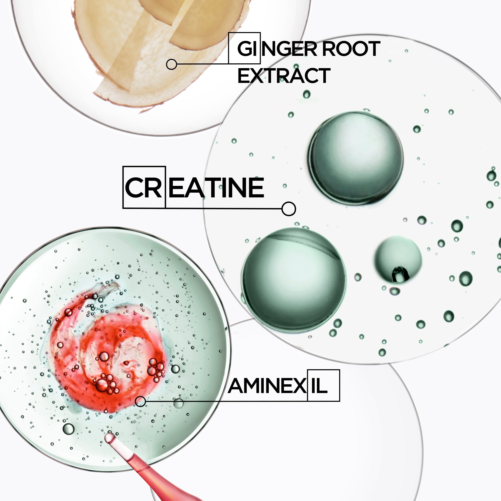 Genesis Homme Bain De Masse