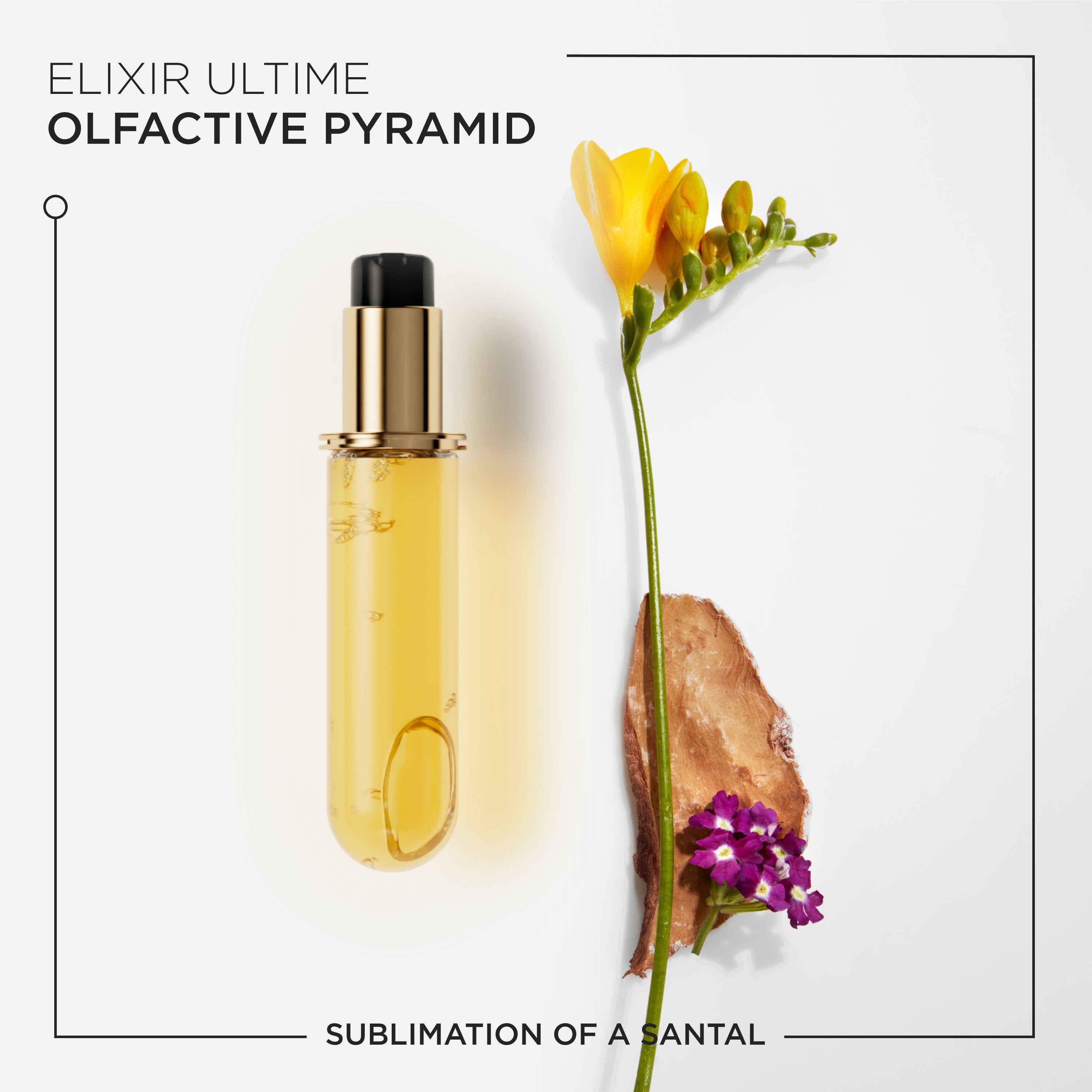 ELIXIR ULTIME OIL 30ML-REFILL
